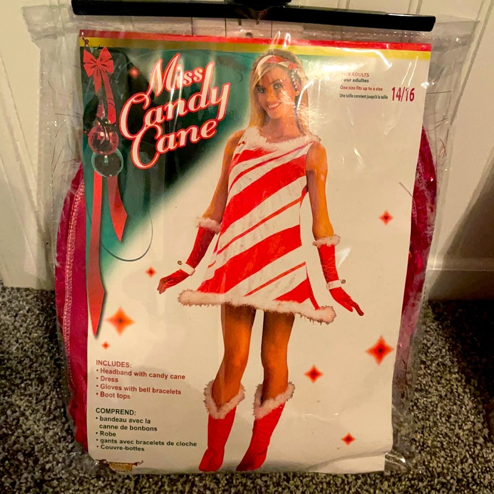 Miss Candy Cane Adult Costume